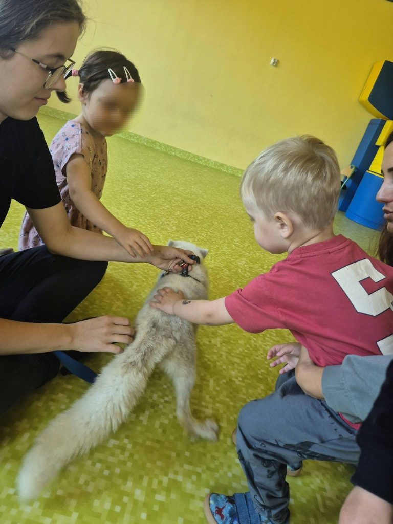 Wczoraj odwiedził nas wyjątkowy gość - lis polarny :)... 5 1789627560 597 Wczoraj odwiedzil nas wyjatkowy gosc lis polarny scaled
